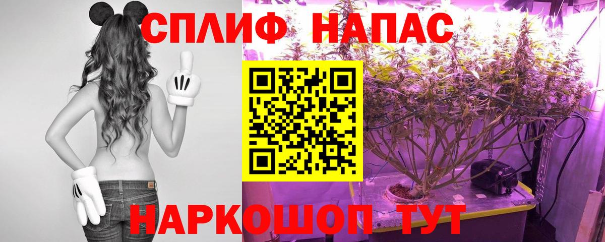 Канабис AK-47  Вход с VPN  Вичуга  Шишки марихуана индика  Шишки марихуана тримм 